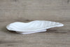 Conch Plate